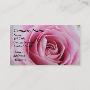 Rose rose Dans La Pluie Carte de visite
