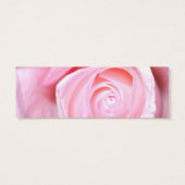 Rose rose, Enregistrer la date (Dos)
