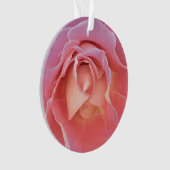 Rose rose lustre (devant)