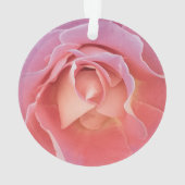 Rose rose lustre (dos)