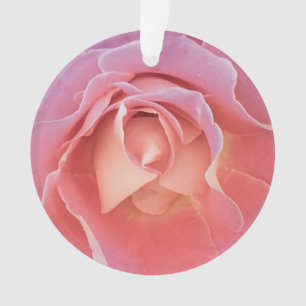 Rose rose lustre