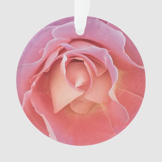 Rose rose lustre (devant)