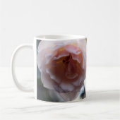 Rose rose recherchent la beauté dans la tasse (Gauche)