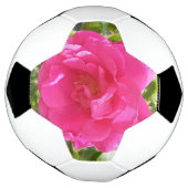 Rose rose rose (Tourné)