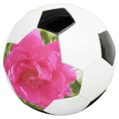 Rose rose rose (3/4)
