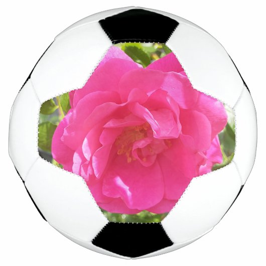 Rose rose rose (Devant)