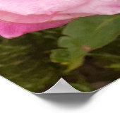 Rose rose Rose Floral Flower Poster (Coin)