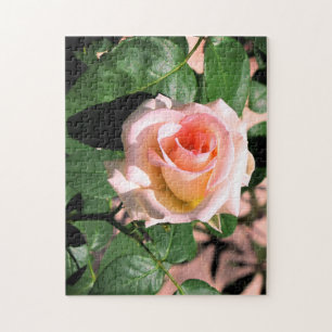 ROSE ROSE ROSE ROSE PERSONNALISÉE SUR PUZZLE DE VI