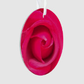 Rose rose rouge romantique (devant)