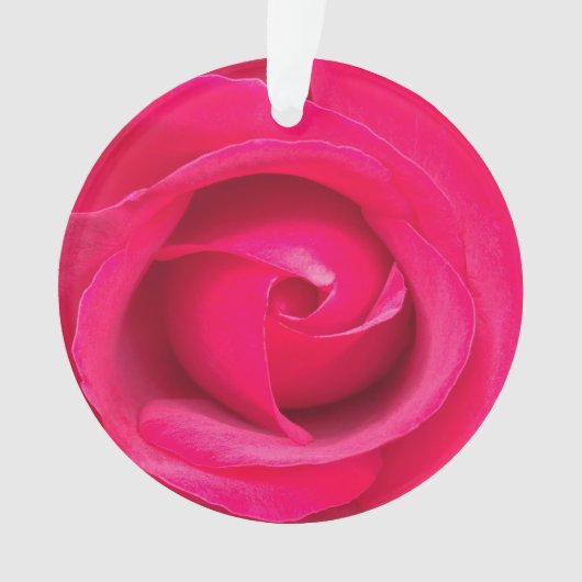 Rose rose rouge romantique (devant)