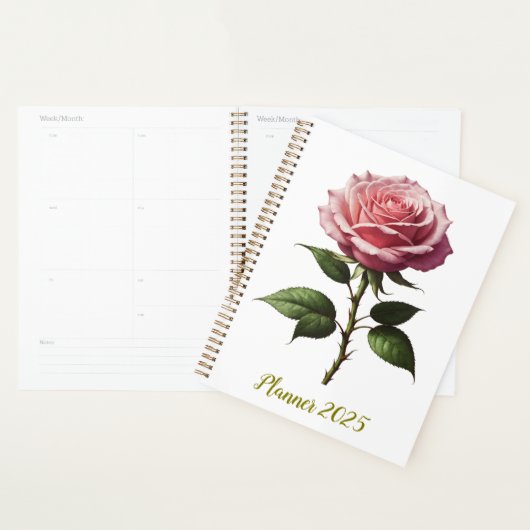 Rose rose simple rose (Devant avec enveloppe)
