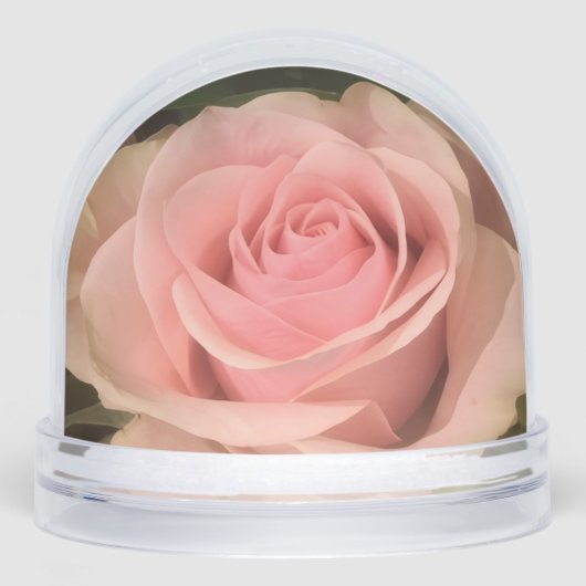 Rose Rose Snow Globe (Avant)