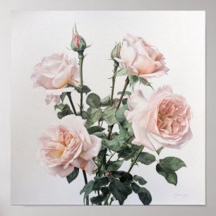Rose Roses Flower Art Imprimer Poster