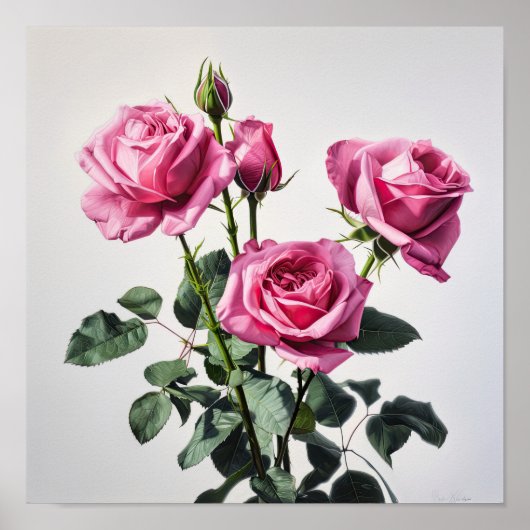Rose Roses Flower Art Imprimer Poster (Devant)