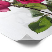 Rose Roses Flower Art Imprimer Poster (Coin)