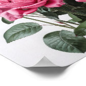 Rose Roses Flower Art Imprimer Poster (Coin)