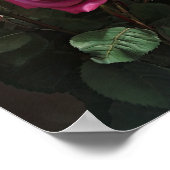 Rose Roses Flower Art Imprimer Poster (Coin)