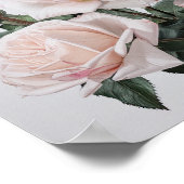 Rose Roses Flower Art Imprimer Poster (Coin)