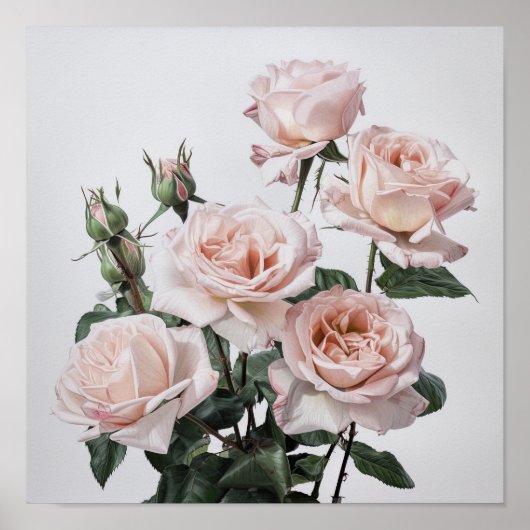 Rose Roses Flower Art Imprimer Poster (Devant)