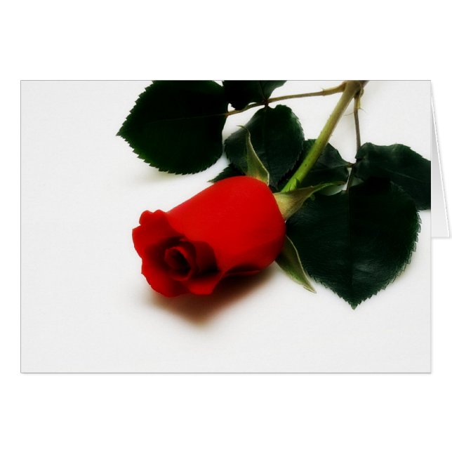 Rose rouge (Devant horizontal)
