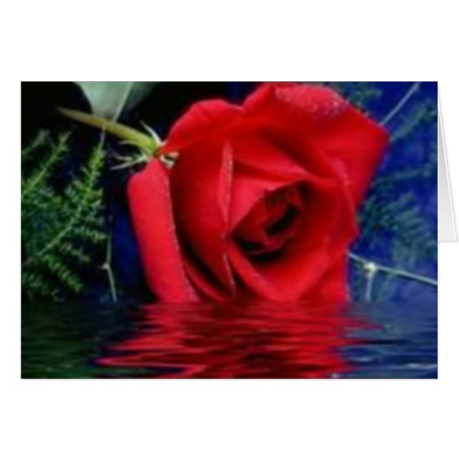 Rose rouge (Devant horizontal)