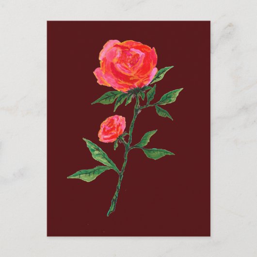 Rose rouge aquarelle sur carte postale rouge foncé (Devant)