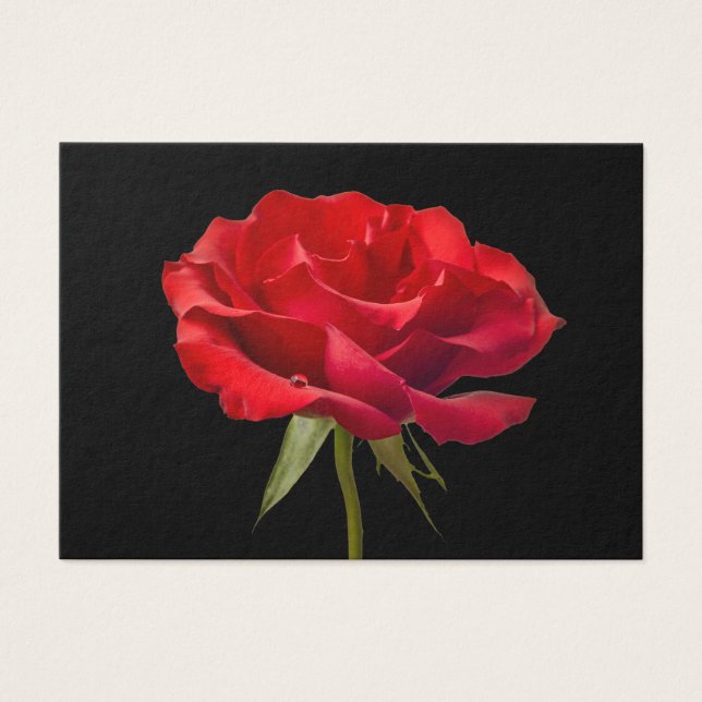 Rose rouge avec Dew Drop sur Arrière - plan noir p (Devant)
