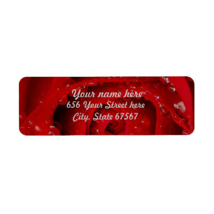 Rose rouge avec les étiquettes de adresse de