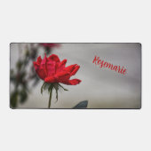 Rose rouge Belle photo Floral Grey (Recto)