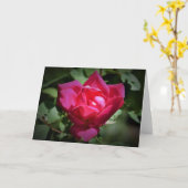 Rose rouge, carte (Fleur jaune)