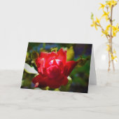 Rose rouge, carte (Fleur jaune)