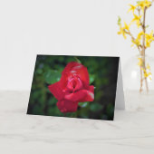 Rose rouge, carte (Fleur jaune)
