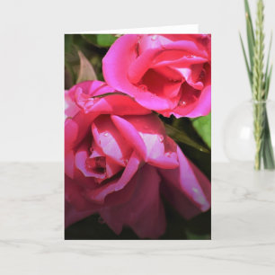 Rose rouge, carte