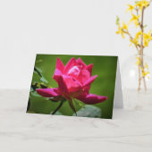 Rose rouge, carte (Fleur jaune)