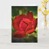 Rose rouge, carte (Fleur jaune)