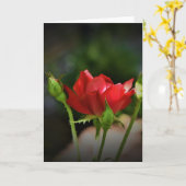 Rose rouge, carte (Fleur jaune)