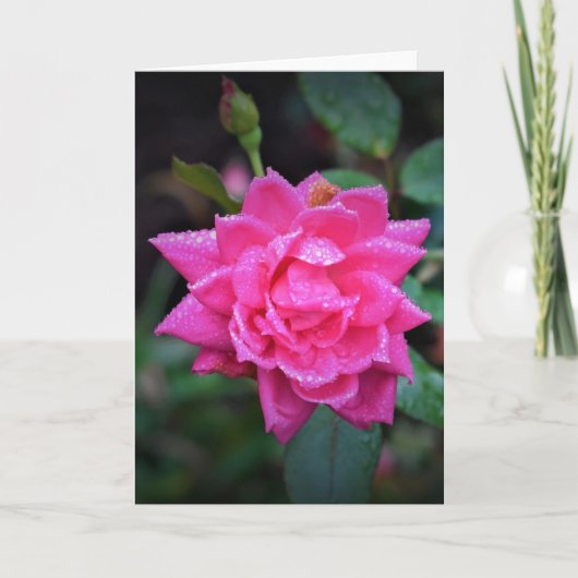 Rose rouge, carte (Devant)