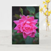 Rose rouge, carte (Fleur jaune)