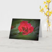 Rose rouge, carte (Fleur jaune)