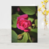 Rose rouge, carte (Fleur jaune)