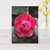 Rose rouge, carte (Fleur jaune)