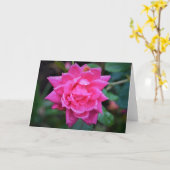 Rose rouge, carte (Fleur jaune)