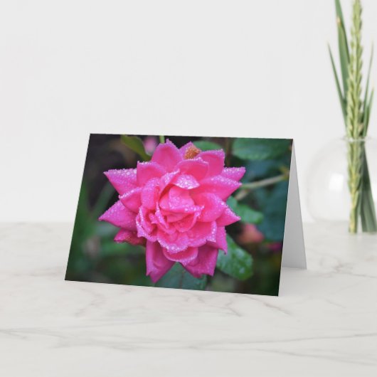 Rose rouge, carte (Devant)
