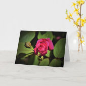Rose rouge, carte (Fleur jaune)