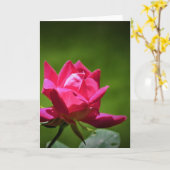 Rose rouge, carte (Fleur jaune)