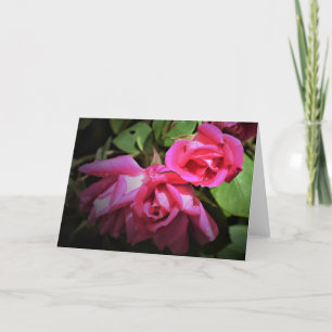 Rose rouge, carte