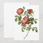 Rose Rouge d'Amour par Redoute Invitation (Devant / Derrière)