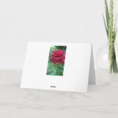Rose rouge de joyeux anniversaire et carte de (Dos)
