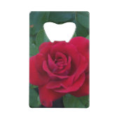 Rose rouge de près (Dos)