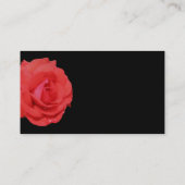 Rose rouge en fleurs Carte de visite (Dos)